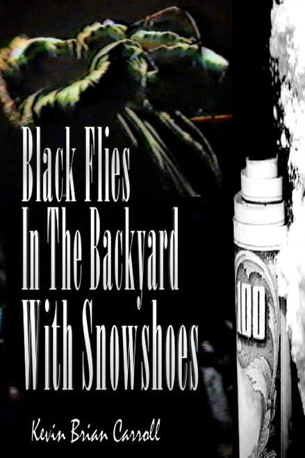 Black Flies In The Backyard With Snowshoes