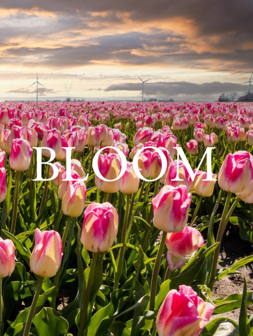 Bloom: Botanical Decorative Book | Elegant Nature-Inspired Accent for
