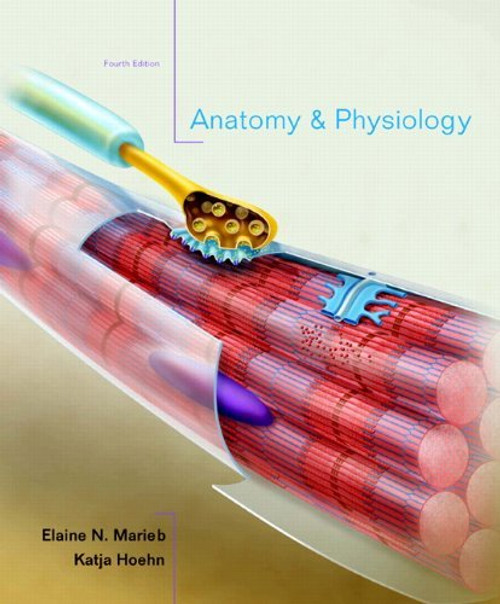 Anatomy And Physiology