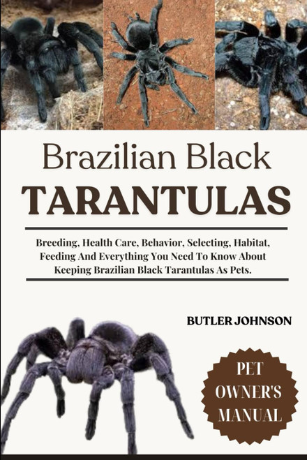 BRAZILIAN BLACK TARANTULAS: Breeding