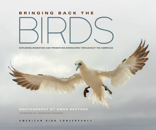 Bringing Back the Birds: Exploring Migration and Preserving Birdscapes