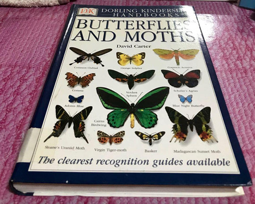 Butterflies and Moths (Eyewitness Handbooks)
