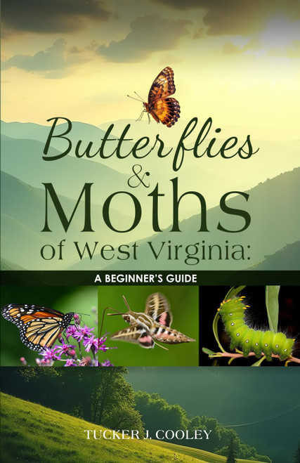 Butterflies and Moths of West Virginia: A Beginner's Guide
