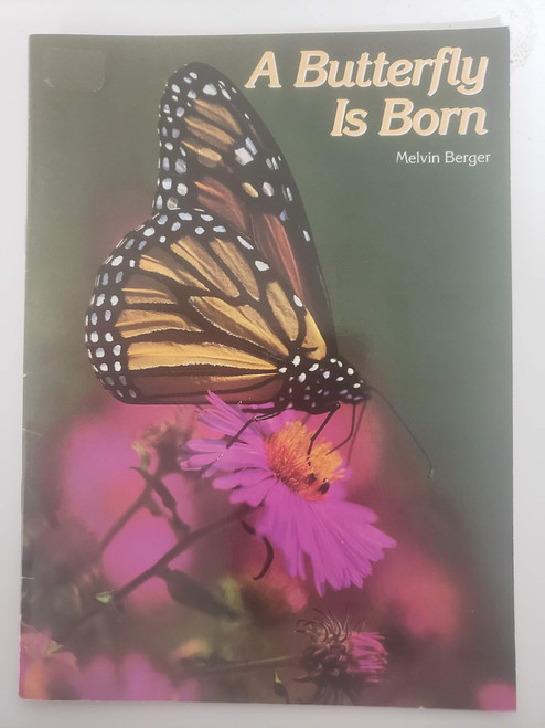 Butterfly Is Born