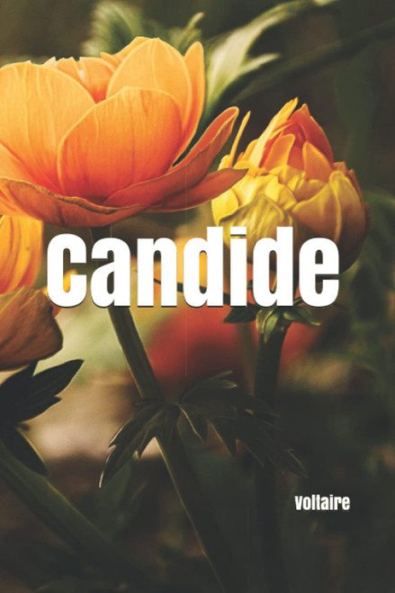 Candide (French Edition)