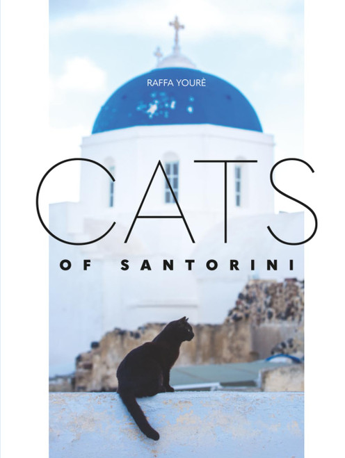Cats of Santorini