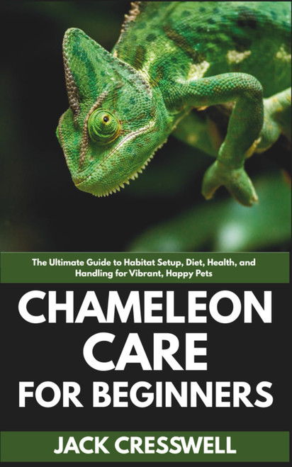 Chameleon Care for Beginners: The Ultimate Guide to Habitat Setup