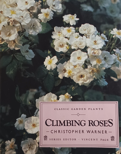 Climbing Roses