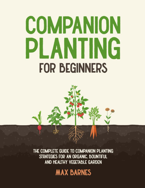 Companion Planting for Beginners