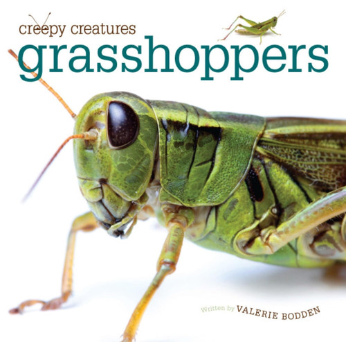 Creepy Creatures: Grasshoppers