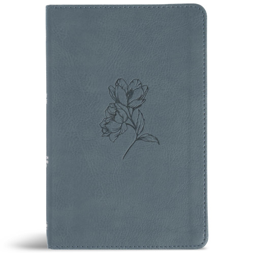CSB Personal Size Bible, Digital Study Edition, Blue – LeatherTouch, Red