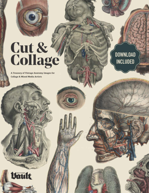 Cut and Collage: A Treasury of Vintage Anatomy Images for Collage and