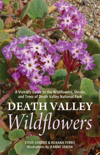 Death Valley Wildflowers: A Visitor's Guide to the Wildflowers