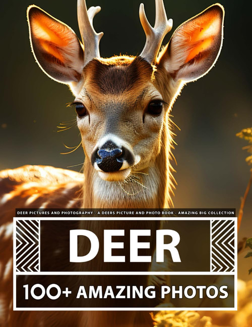 Deer Pictures and Photography - A Deer Picture and Photo Book - Amazing