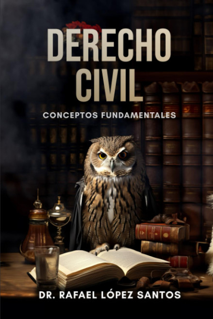 Derecho civil: Conceptos fundamentales (Spanish Edition)
