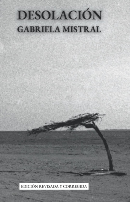 DESOLACIÓN (Spanish Edition)