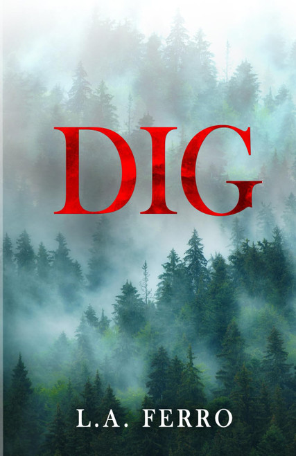 DIG: Special Edition: A Second Chance Romance