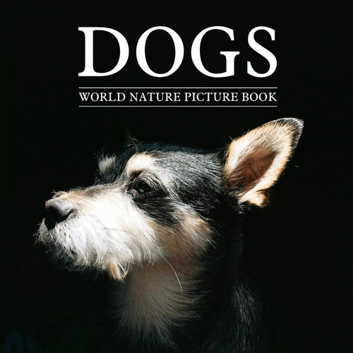 DOGS World Nature Picture Book: Gift Picture Book for Dog Lover