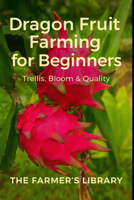 Dragon Fruit Farming for Beginners: A Practical Guide to Trellising