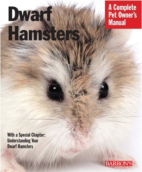Dwarf Hamsters: Everything About Purchase