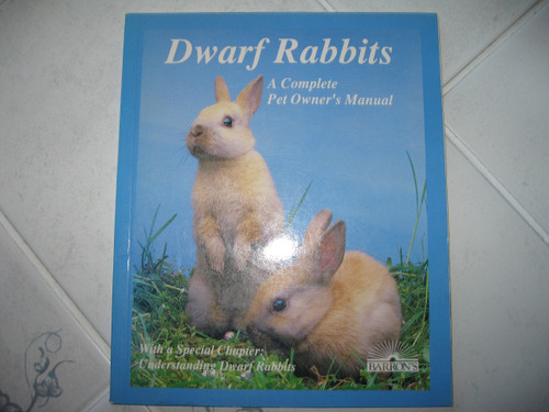 Dwarf Rabbits: How to Take Care of Them and Understand Them