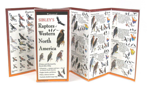 Earth Sky + Water FoldingGuideâ¢ - Sibley's Raptors of Western North America - 10 Panel