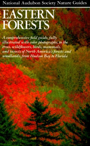 Eastern Forests