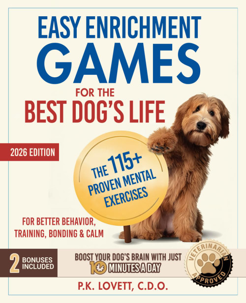 Easy Enrichment Games for the Best Dog's Life