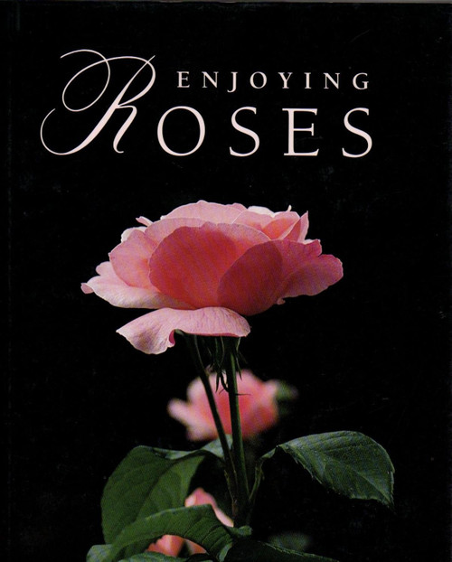 Enjoying Roses
