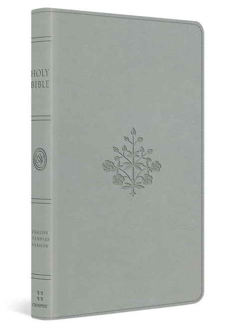 ESV Large Print Value Thinline Bible (TruTone