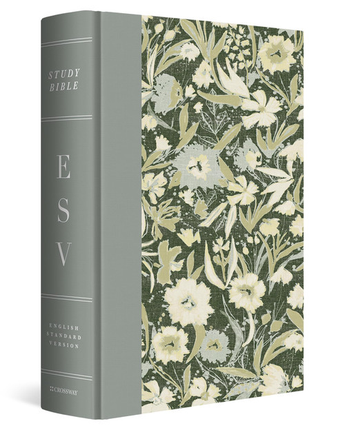 ESV Study Bible, Artist Series – Cloth Over Board
