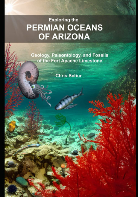 Exploring the Permian Oceans of Arizona