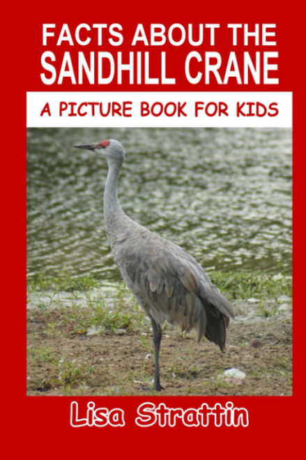 Facts About the Sandhill Crane