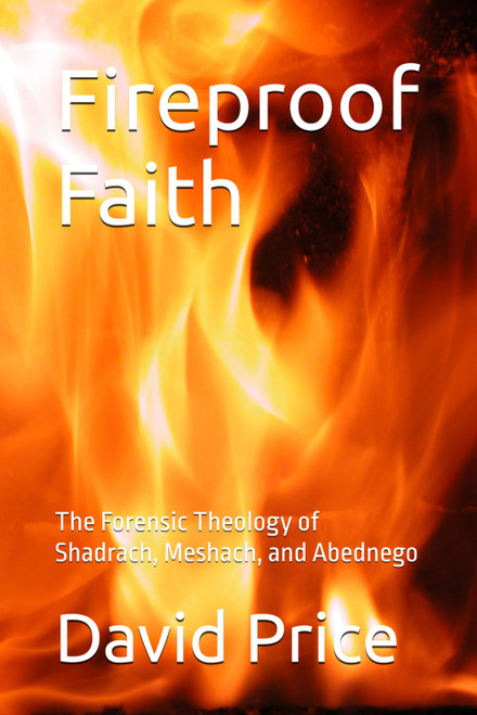 Fireproof Faith: The Forensic Theology of Shadrach