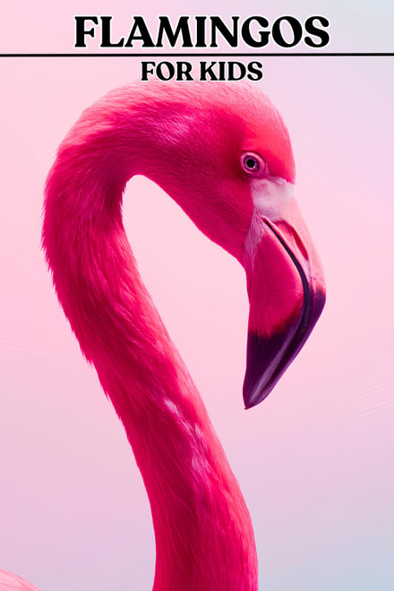 Flamingos: Beautiful Pictures with Amazing Facts for Kids