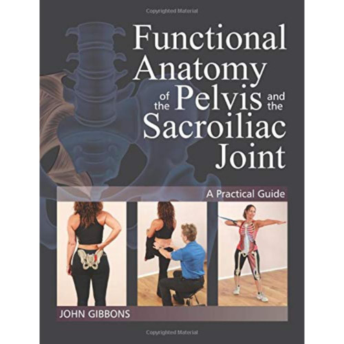 Functional Anatomy Of The Pelvis & The
