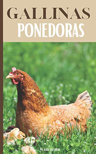 Gallinas Ponedoras: Todo lo que se necesita para criar una gallina