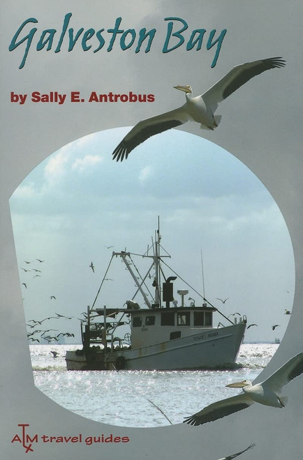 Galveston Bay (Volume 8) (Gulf Coast Books