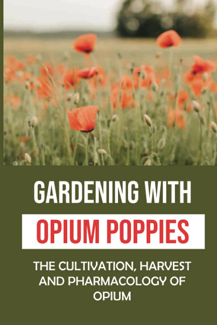 Gardening With Opium Poppies: The Cultivation