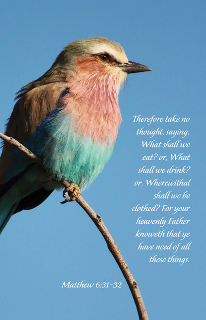General Worship Bulletin: Your Heavenly Father Knoweth