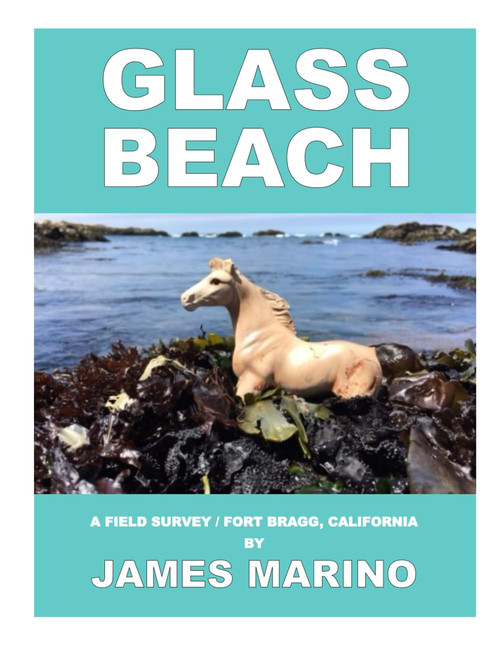 Glass Beach: A Field Survey / Fort Bragg, California