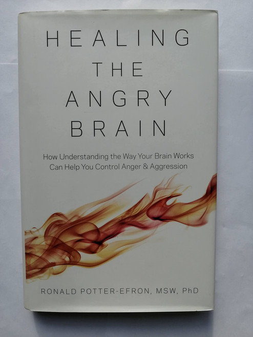 Healing the Angry Brain How Understanding the Way Your Brain Works Can