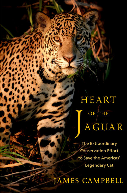 Heart of the Jaguar: The Extraordinary Conservation Effort to Save the
