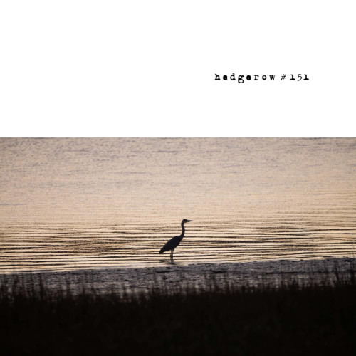 hedgerow #151: a journal of small poems