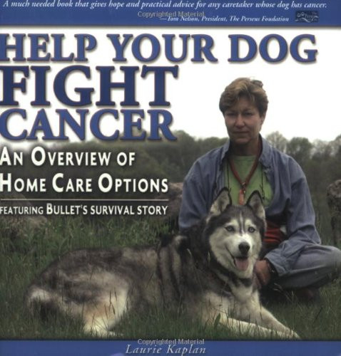 Help Your Dog Fight Cancer: An Overview Of Home Care Options