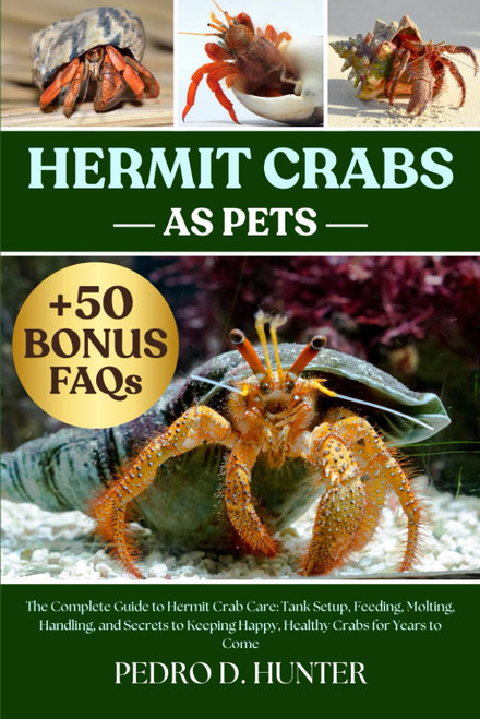 HERMIT CRABS AS PETS: The Complete Guide to Hermit Crab Care: Tank Setup