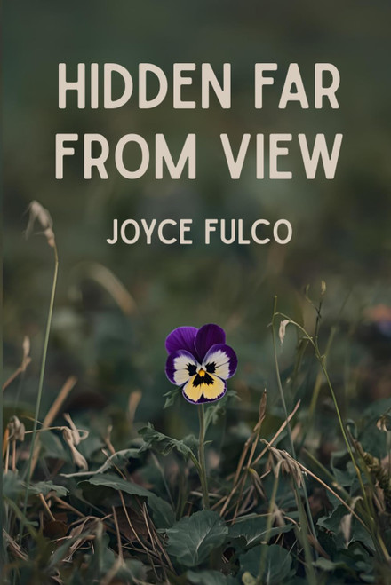 Hidden Far From View