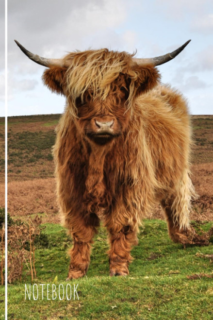 Highland Cow Notebook: Cute Highland Cow Lined Journal