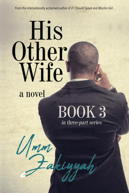 His Other Wife, Book 3: a novel