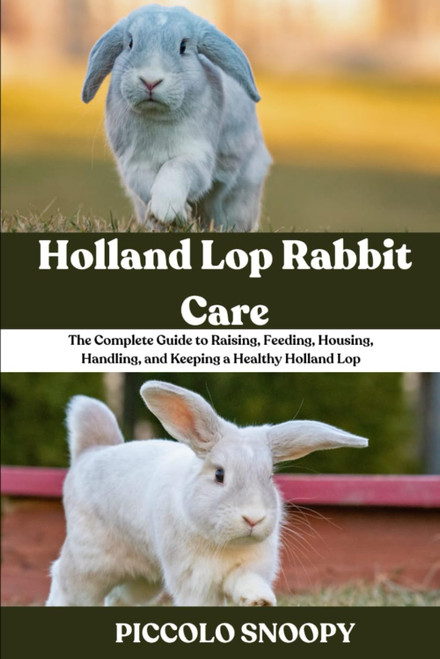Holland Lop Rabbit Care: The Complete Guide to Raising